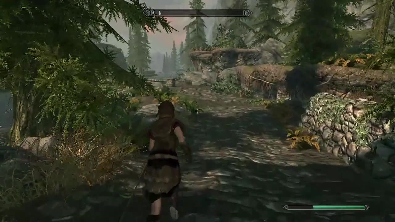 Skyrim #1