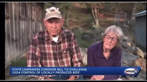 American Cattle Farmers Struggle to Sell Livestock While Trump Buys from Argentina