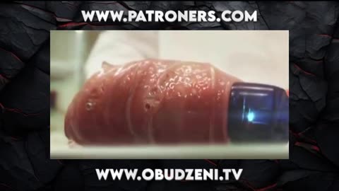 Czy Janusz przeżyje :)