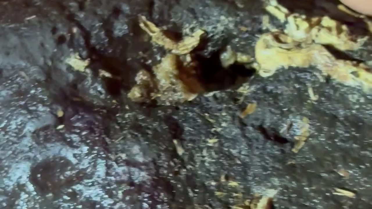 What looks like a rock is actually ancient technology.