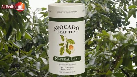 30 Health Benefits of Avocado Leaf Tea
