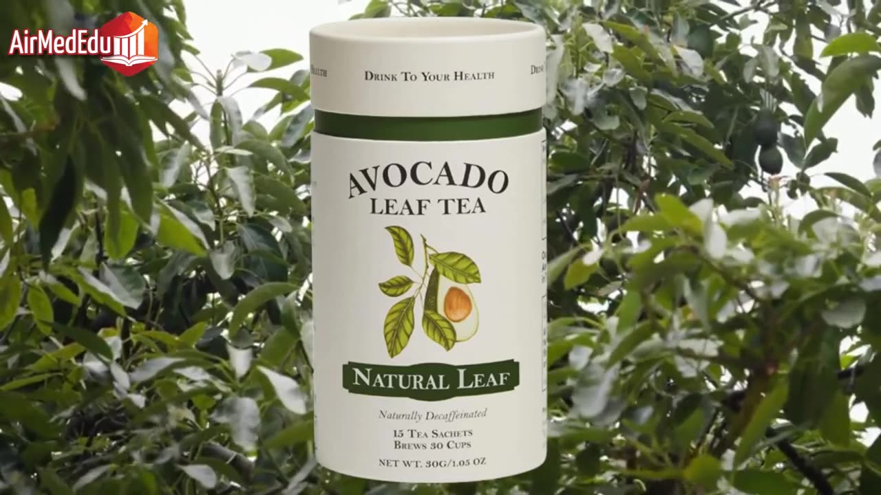30 Health Benefits of Avocado Leaf Tea