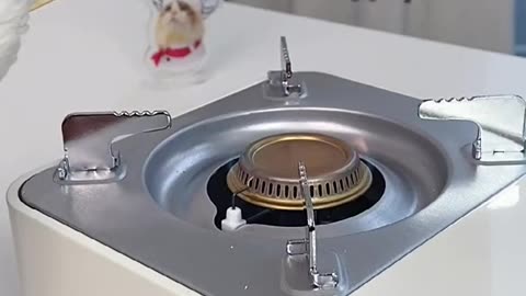 cooking The Purrfect Kitchen Disaster