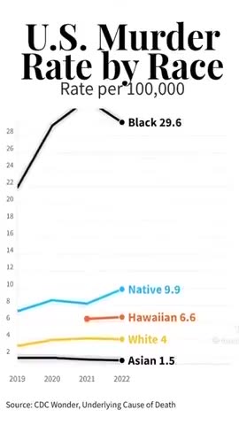U.S. Murder Rate By Race