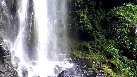 Without Refrigerator Traditional Chinese Fermented Fish Using Ancient Handmade Craft