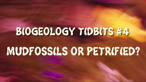 BIOGEOLOGY TIDBITS #4 MUDFOSSILS OR PETRIFIED? 