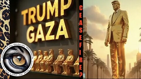 Fragile ceasefire in Gaza does not mean to stop the protests