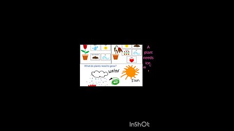 science quiz for children