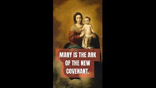 MARY IS THE NEW ARK OF THE COVENANT, HOW CAN ANYONE MISS IT!? #truth #jesus #christ #king #mary