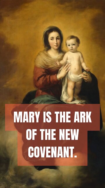 MARY IS THE NEW ARK OF THE COVENANT, HOW CAN ANYONE MISS IT!? #truth #jesus #christ #king #mary