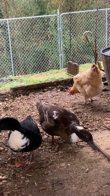 Good Tuesday Morning