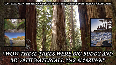 EXPLORING THE REDWOODS AND FERN CANYON IN MY 30TH STATE OF CALIFORNIA