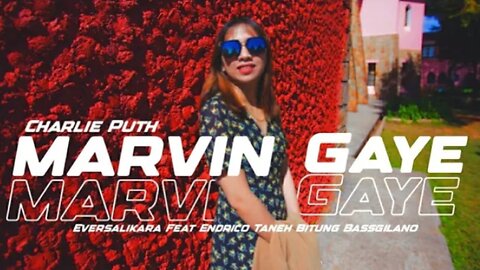 DJ Charlie put Marvin gaye ( Remix )