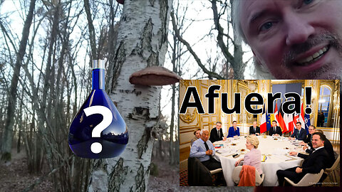 Grok 3 är användbar för alla. Europa vill ha DOGE! NGO-finansiering är cancer. Hanif Bali liberal