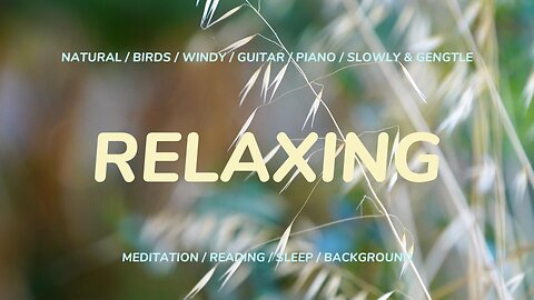 Chilling Guitar Easylistening