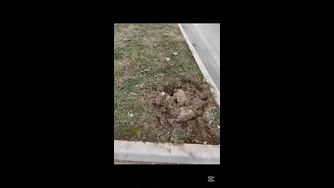 che succede a Magenta?