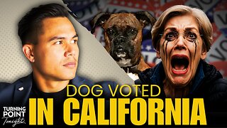 This Dog Voted in Multiple Elections in California