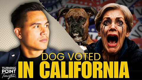This Dog Voted in Multiple Elections in California