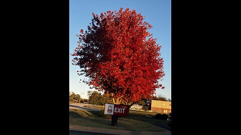 JFK to Venezuela- FREE PREMIUM PREMIER