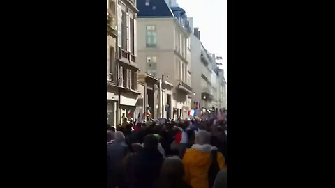 Thousands of French patriots protested in Paris