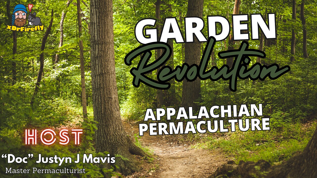 Sustainable Garden Series | Intro to Permaculture | Midnight in Doc's Garden