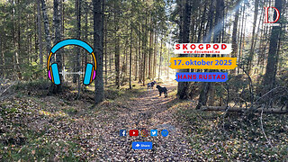 Skogpod 17. oktober 2025