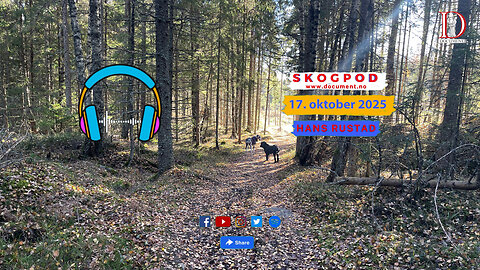 Skogpod 17. oktober 2025