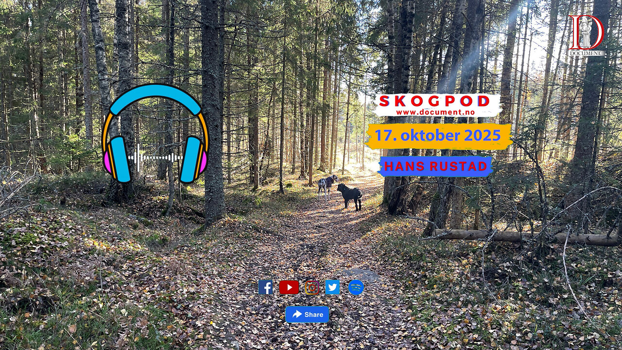 Skogpod 17. oktober 2025
