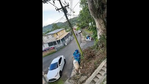 @Funny Goats Don't know what they did wrong 😂😂