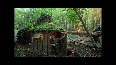 Building a Cozy Log Cabin for Survival Under an Upturned Tree Root