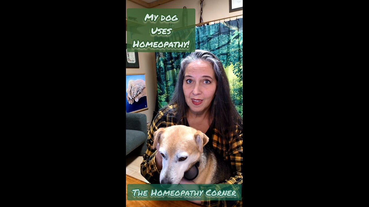 Episode 6 of the Homeopathy Corner: Homeopathy is for pets too!