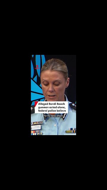 Alleged Bondi Beach gunmen acted alone, federal police believe