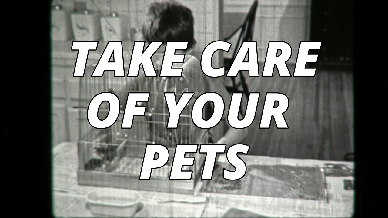 TAKE CARE OF YOUR PETS (c. 1960)