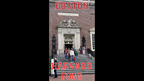 BOSTON HARVARD FOGG - Fogg Museum of Art - Harvard Museums - SHORT#boston #foggmuseum #harvardmuseum