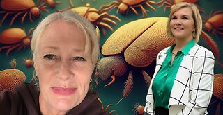 Lyme Disease: The Tick-Borne Disease Australians Are Not Allowed to Suffer