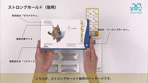 ストロングホールド猫用6本(レボリューション欧州版)
