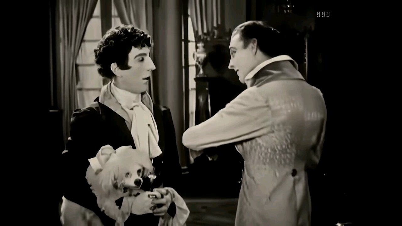 The Archive Boogie #publicdomain