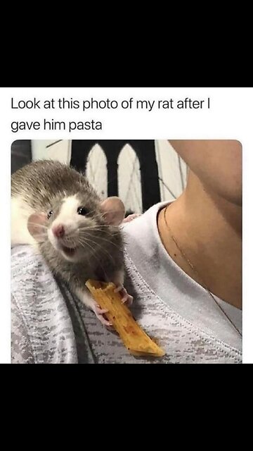 Drone swarms locusts 😲😲😲