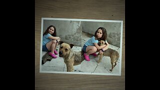 Perro callejero se une a una familia en peregrinación durante 20 kilómetros
