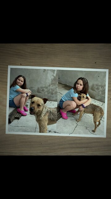 Perro callejero se une a una familia en peregrinación durante 20 kilómetros