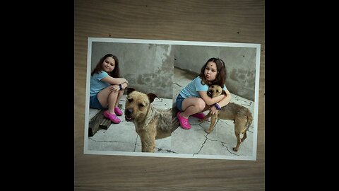 Perro callejero se une a una familia en peregrinación durante 20 kilómetros