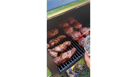 Smoked BBQ Ribs and Chicken Thighs
