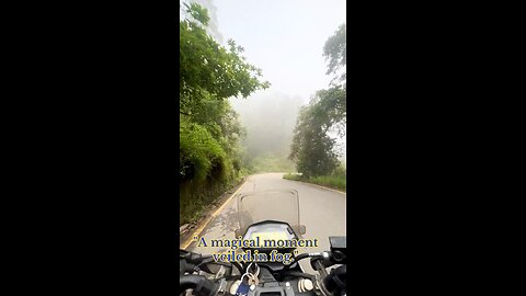 Foggy Forest -Nuwakot