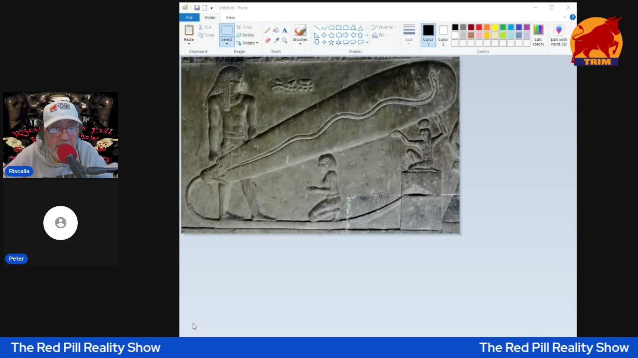 Red Pill Reality Show