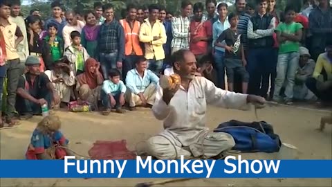 Funny Monkey Show, Funny Video, monkey funny Video, Monkey Magic