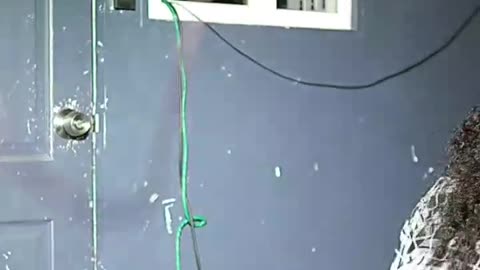 big booty shakes ass in lingerie.