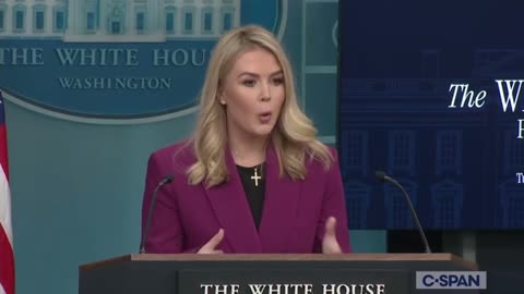 WH Press Secretary Karoline Leavitt Schools Dumb Journalist on Definition of a 'Criminal'