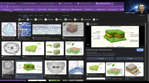 AULA 20 REGULAR 2025 - 1 | Semana 03 | Biología
