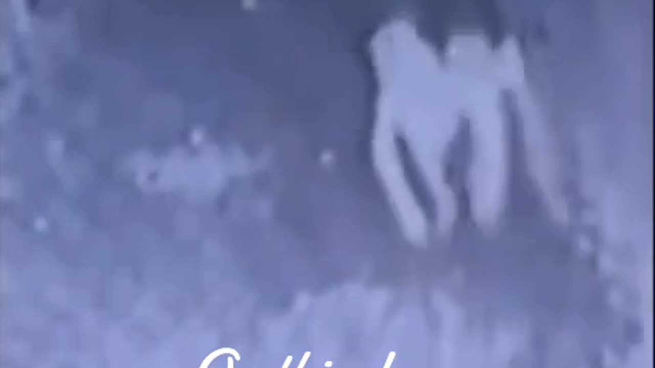 😱👻 On This Day: The Terrifying Story of a Skinwalker Sighting! | TheHauntingHour