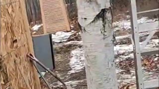 Windmill Durability Test_ Will It Survive the Wind_ Let's See! #homesteading #offgrid #livingoffgrid